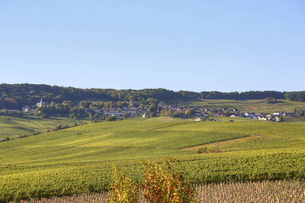 Paysage - Hotel Restaurant Les Grains d'Argent