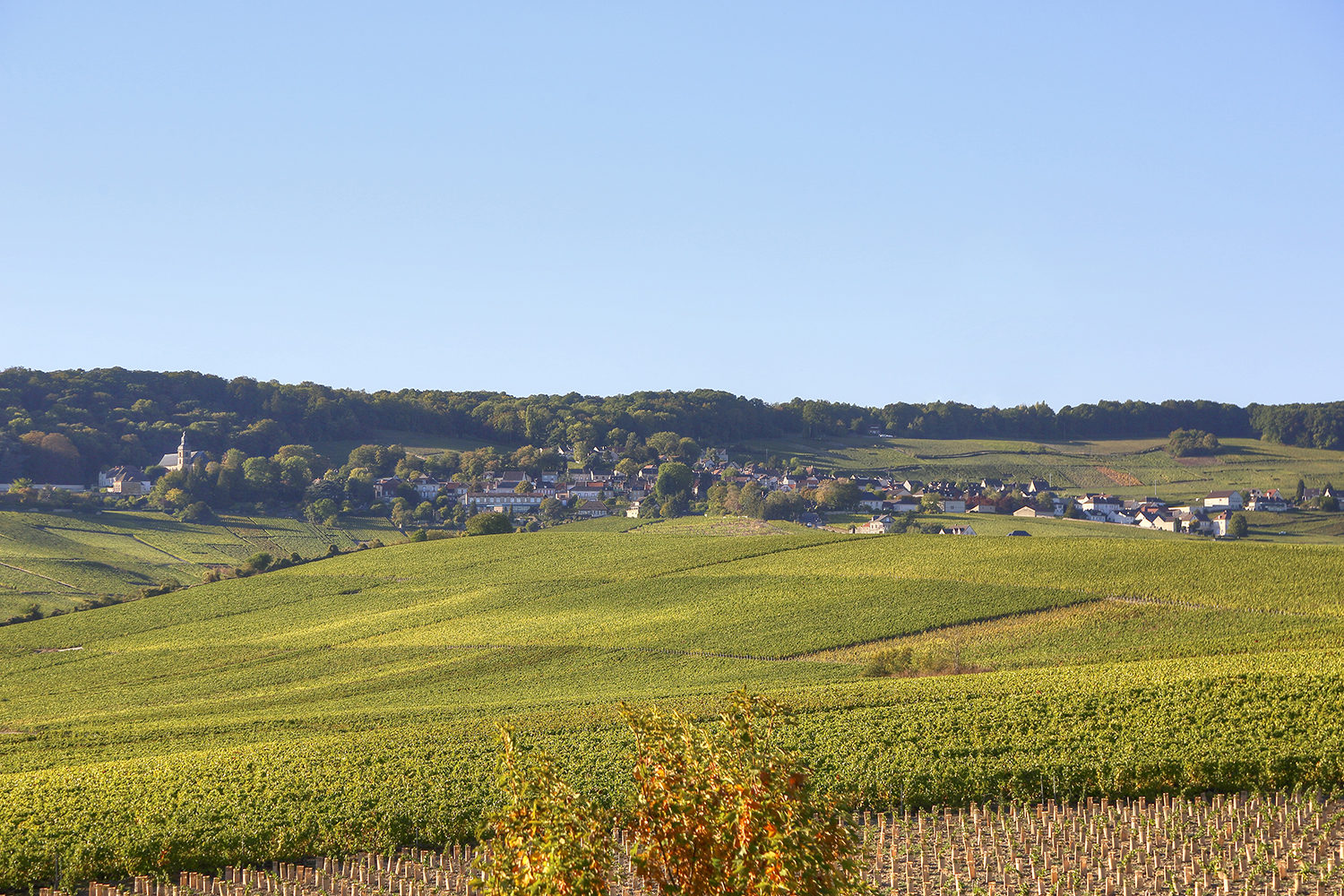 Paysage - Hotel Restaurant Les Grains d'Argent