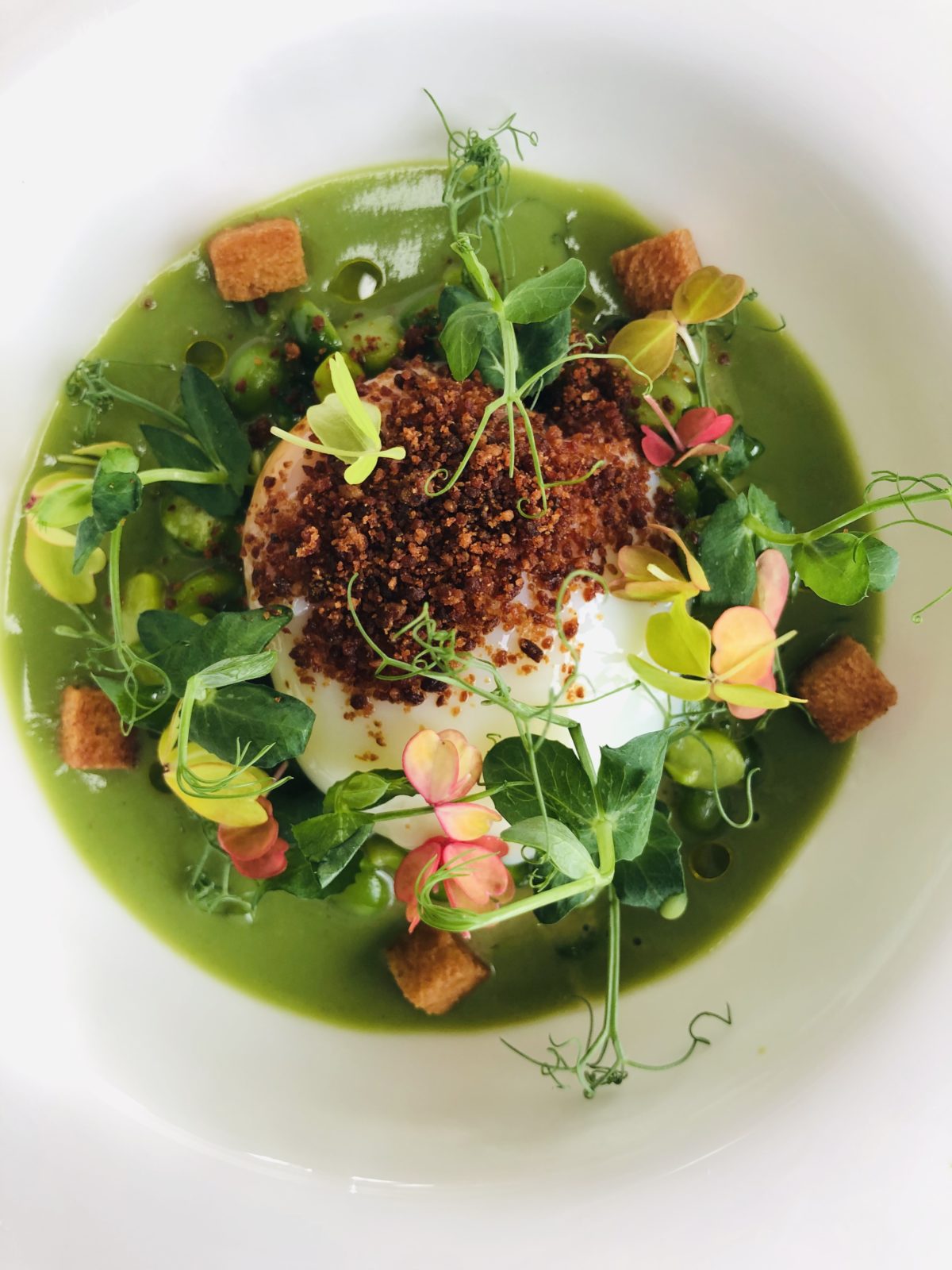 Gastronomy - Les Grains d'Argent